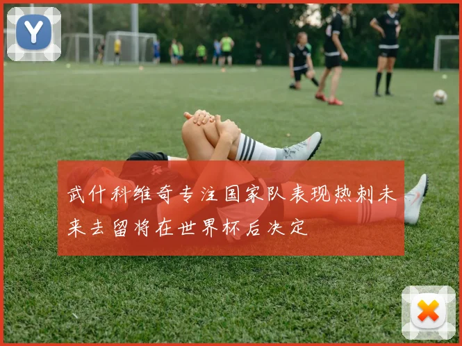 武什科维奇专注国家队表现热刺未来去留将在世界杯后决定