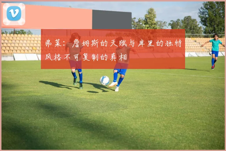 弗莱：詹姆斯的天赋与库里的独特风格不可复制的真相